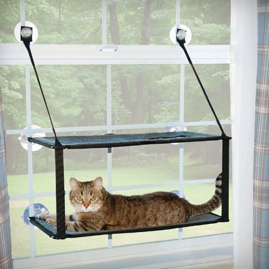 hamac chat fenetre fixée sur grande fenetre avec des ventouses