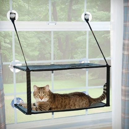hamac chat fenetre fixée sur grande fenetre avec des ventouses