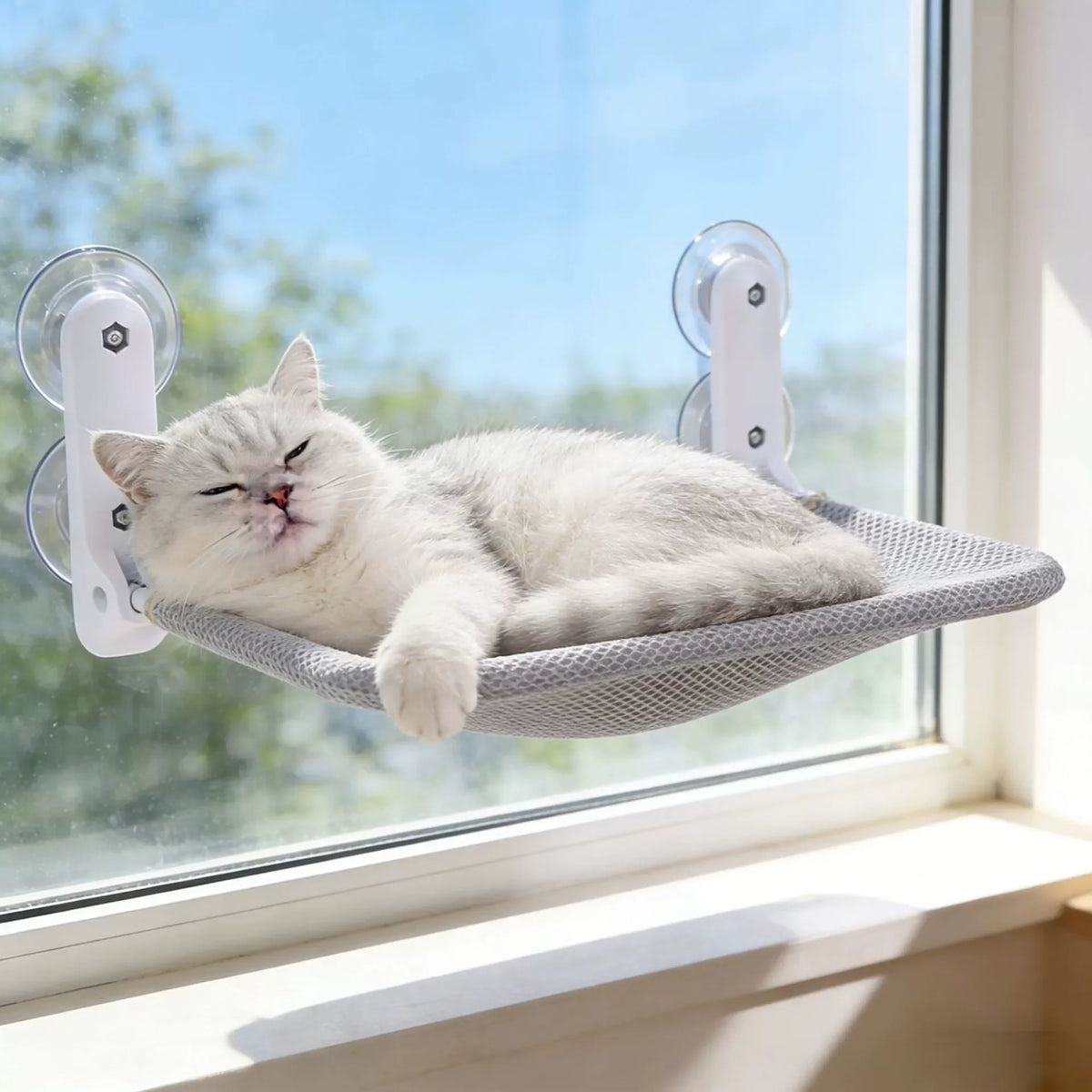 hamac chat fenetre gris fixe avec quatre grosses ventouses
