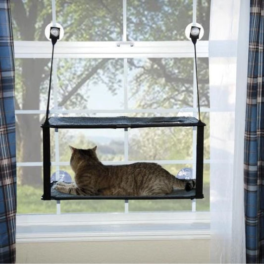 hamac chat fenetre installe avec chat dedans