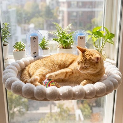 hamac chat fenetre ovale beige avec un chat roux jouant dedans