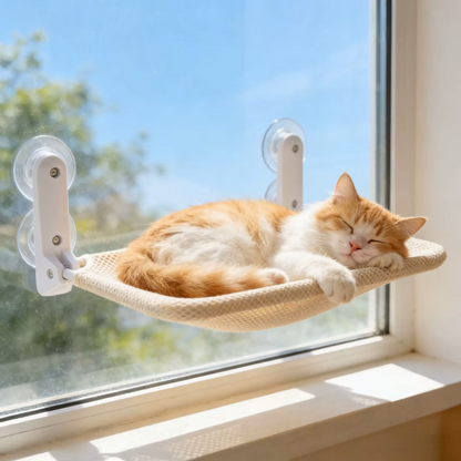 hamac chat fenetre pliant compact et resistant
