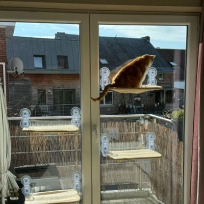 hamac chat fenetre plusieurs hamacs installés en quinconce