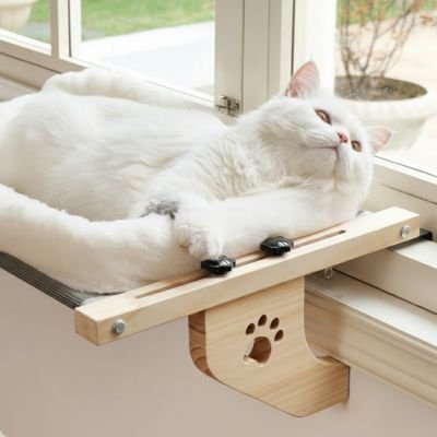 Hamac fenetre chat avec chat blanc dessus