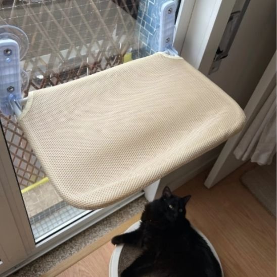 HAMAC FENETRE CHAT BEIGE ACCORCHE A LA VITRE