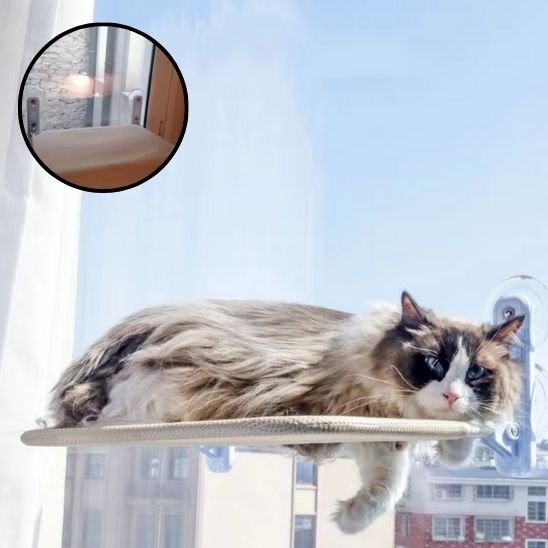 HAMAC FENETRE CHAT CHAT COUCHE DESSUS