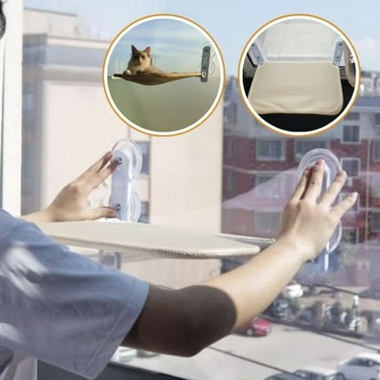 HAMAC FENETRE CHAT DEMO POSITIONNEMENT