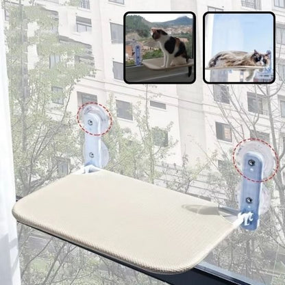 HAMAC FENETRE CHAT VIDE AVEC VIGNETTES DE DEMO