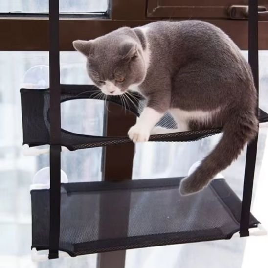 hamac fenetre pour chat deux niveaux avec ouverture ronde