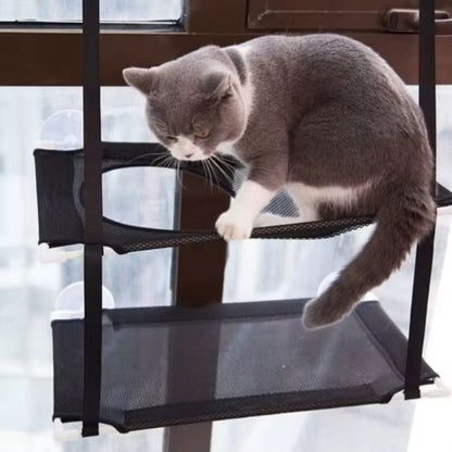 hamac fenetre pour chat deux niveaux avec ouverture ronde