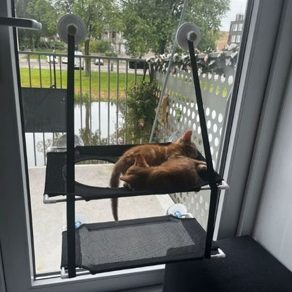 hamac fenetre pour chat deux supports superposés