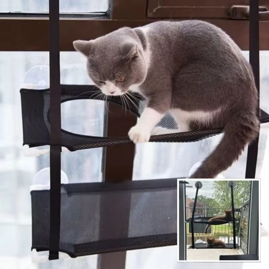 hamac fenetre pour chat