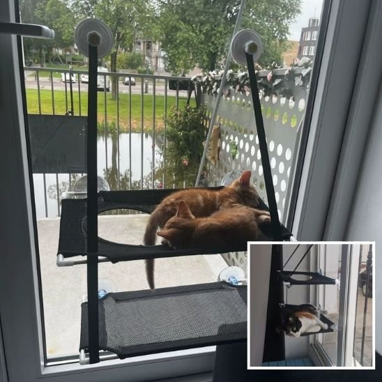 hamac fenetre pour chat