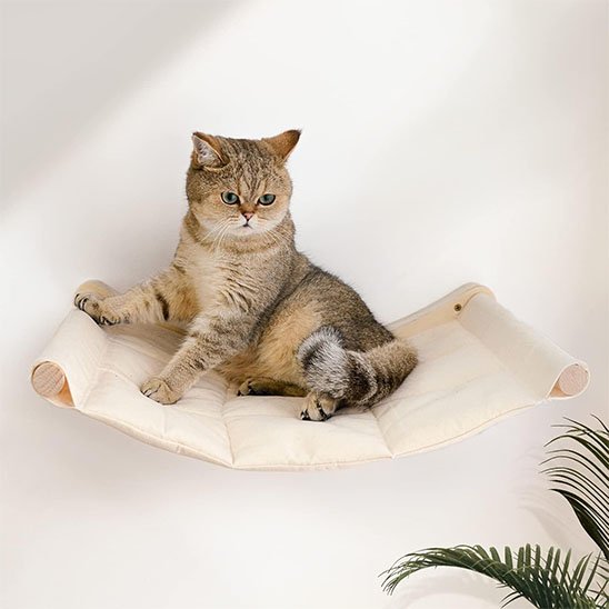 Hamac pour chat  avec chat dedans 