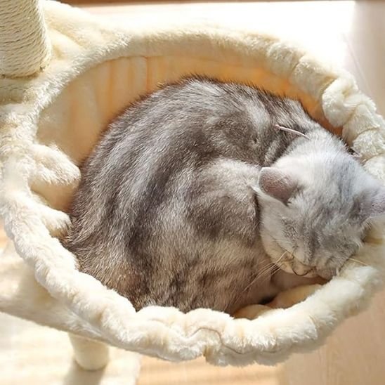 Hamac pour chat beige avec chat dedans