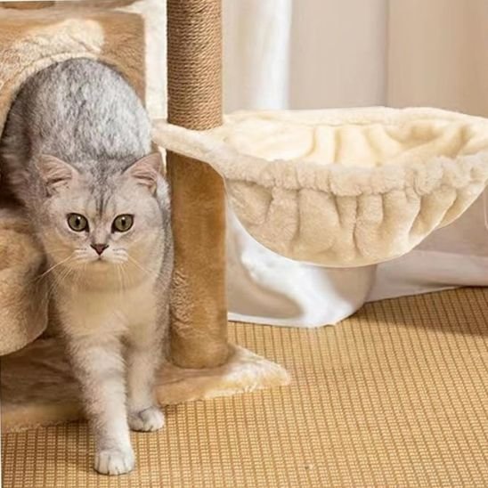 Hamac pour chat beige avec chat sortant