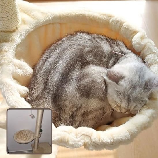 Hamac pour chat  beige chat dormant dedans
