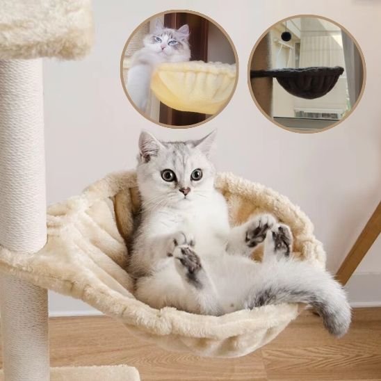 Hamac pour chat beige installe dedans avec vignettes de demo