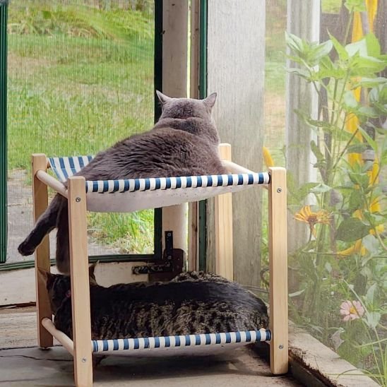 hamac pour chat bois et tissus chats alonges dessus