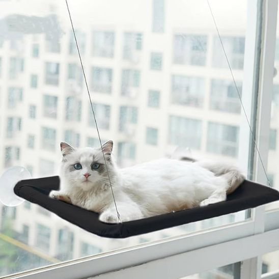 hamac pour chat fenêtre avec belle vue et chat couche dessus
