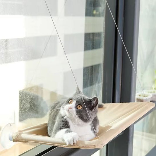 hamac pour chat fenêtre avec chat dessus