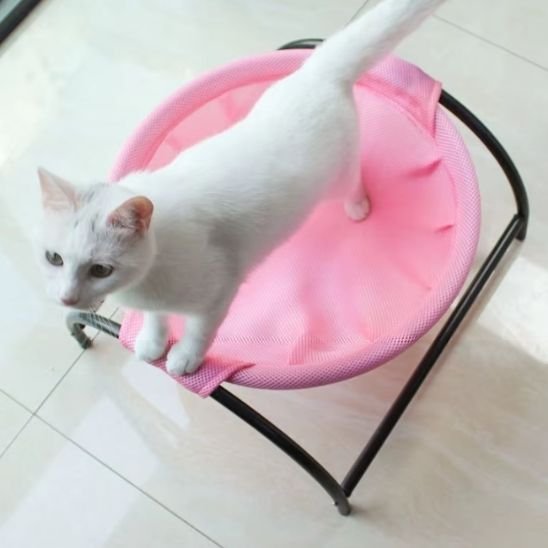 hamac pour chat rose et rond sur support