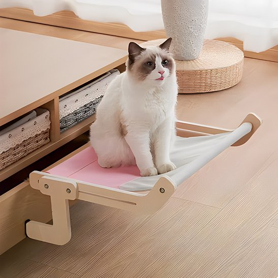 hamac radiateur pour chat avec chat assis dessus