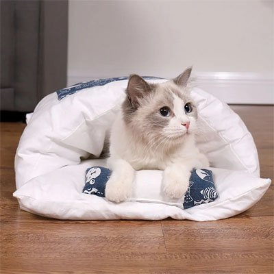 Lit chat en forme de vrai petit lit bleu et blanc avec chat couche dedans de face