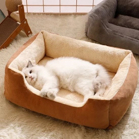 Lit chat forme rectangulaire marron et creme avec chat 