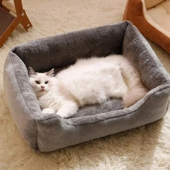 Lit chat rectangulaire de couleur grise avec chat dedans