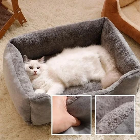 Lit chat rectangulaire de couleur grise avec chat dedans