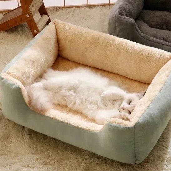 Lit chat rectangulaire vert amande et creme 