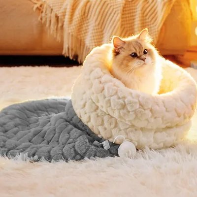 Lit pour Chat  avec chat assis dedans
