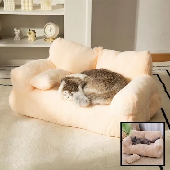 lit pour chat beige en forme de petit canapé avec un chaton