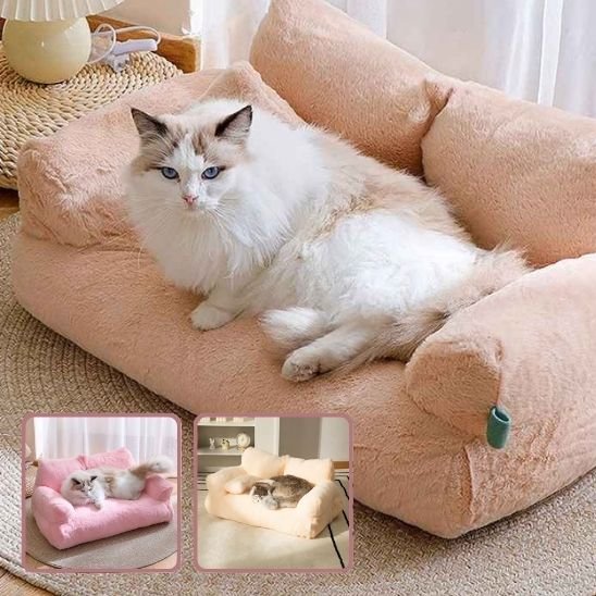 lit pour chat beige en forme de petit canapé avec un beau chat dessus