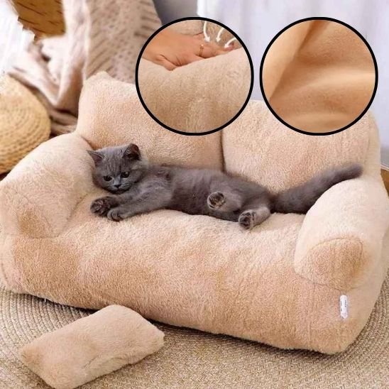 lit pour chat beige en forme de petit canapé avec un chaton qui couche dessus