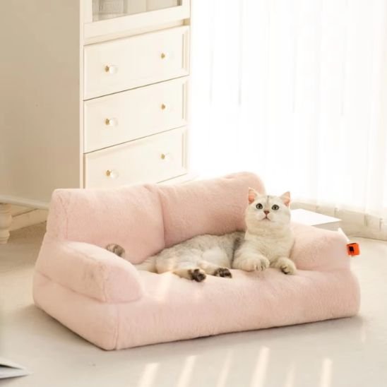 lit pour chat beige en forme de petit canapé avec chat dessus