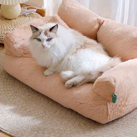 lit pour chat beige en forme de petit canapé avec chat dessus