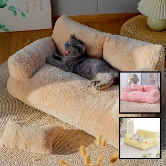 lit pour chat beige en forme de petit canapé avec un chaton qui baille dessus