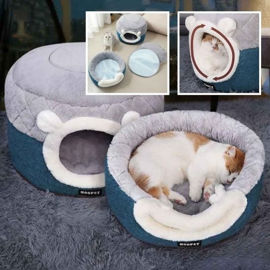 MAISON A CHAT demonstration des deux version avec un chat dedans plus vignettes details