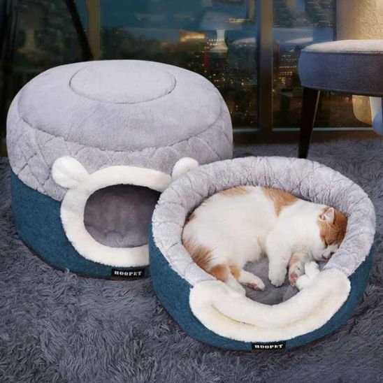 MAISON A CHAT demonstration des deux version avec un chat dedans