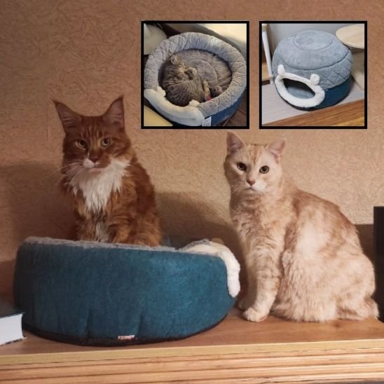 MAISON A CHAT modulable en coussin avec deux chat et vignettes de demo