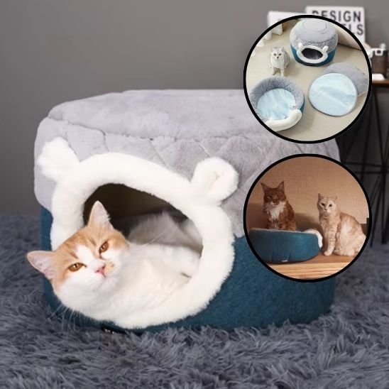 MAISON A CHAT version niche avec chat dedans et vignettes de demo