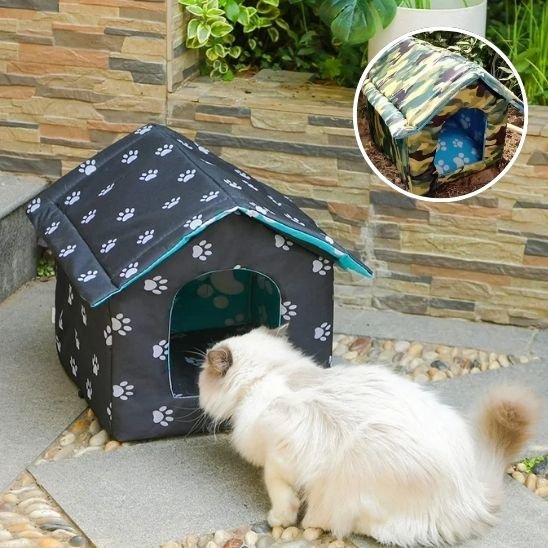 maison exterieur pour chat avec un chat devant 