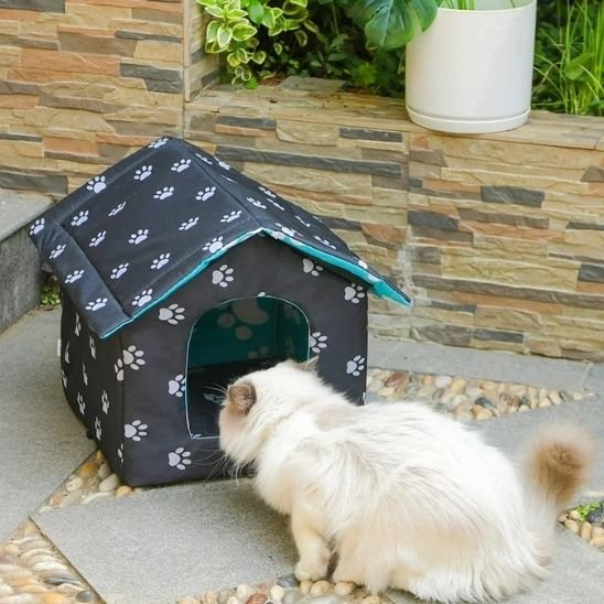 maison exterieur pour chat avec un chat voulant entrer