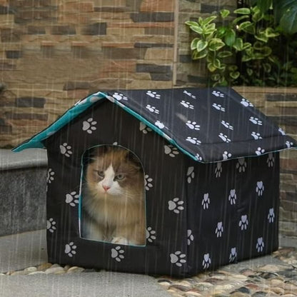 maison exterieur pour chat bleue avec chat dedans