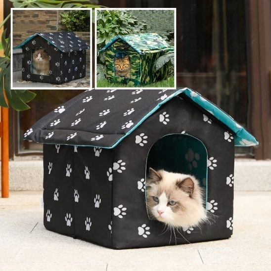 maison exterieur pour chat bleue avec motifs patte de chat 
