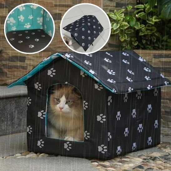 maison exterieur pour chat