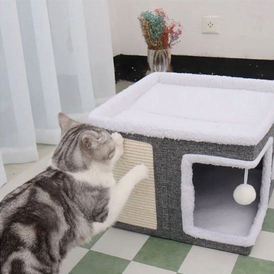 Maison pour chat carre avec jouet suspendu et chat devant