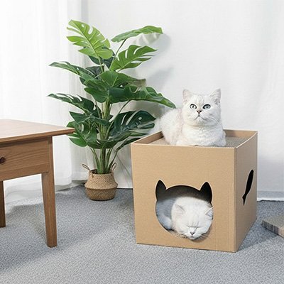 Maison pour chat en carton avec chat dedans
